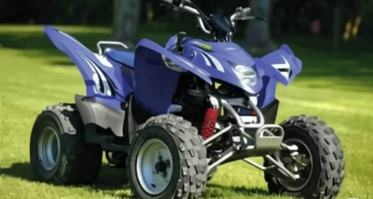 Aeon Cobra 220 Manual de reparación