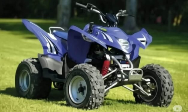 Aeon Cobra 220 Manual de reparación